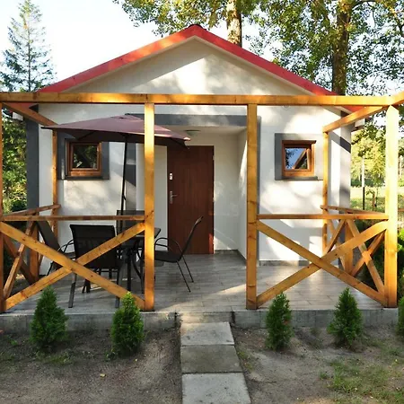 Nowe Komfortowe Albatros