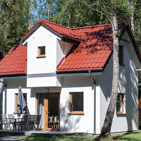 Nowe Komfortowe Albatros *