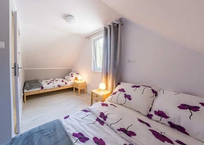 Nowe Komfortowe Albatros