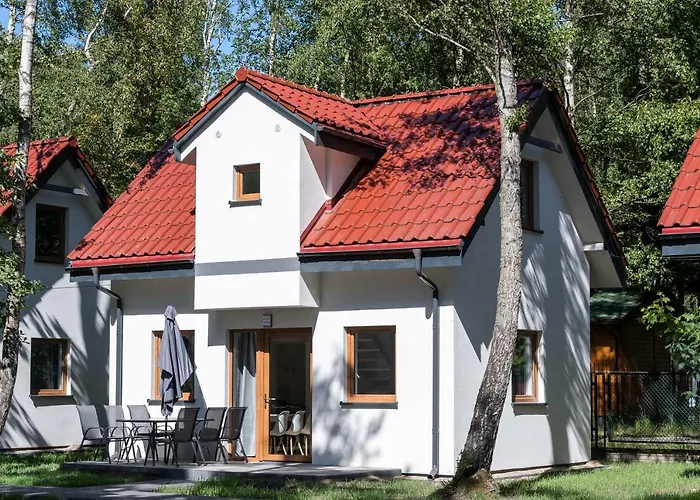 Nowe Komfortowe Albatros *